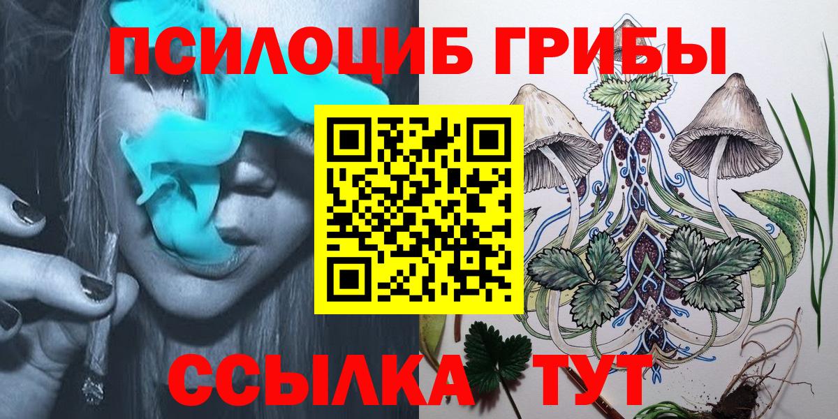 Галлюциногенные грибы Psilocybine cubensis Барабинск