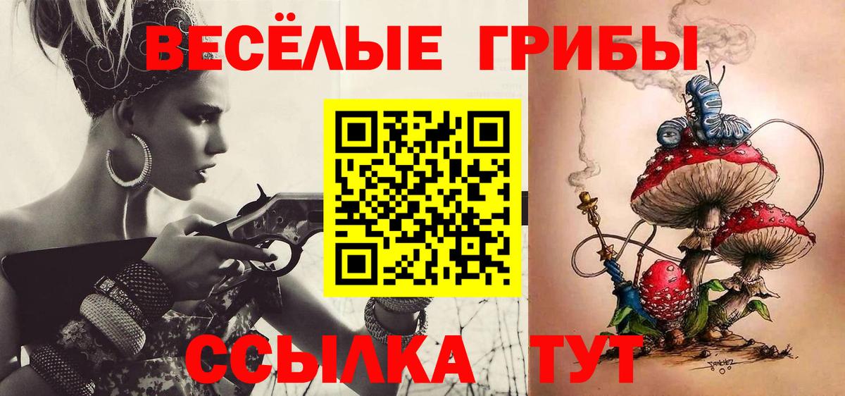 Барабинск  Псилоцибиновые грибы Psilocybe  Вход с VPN 